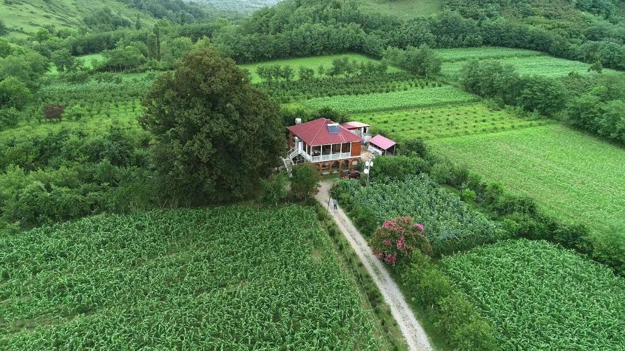 Guesthouse Kamelia Martvili Eksteriør bilde