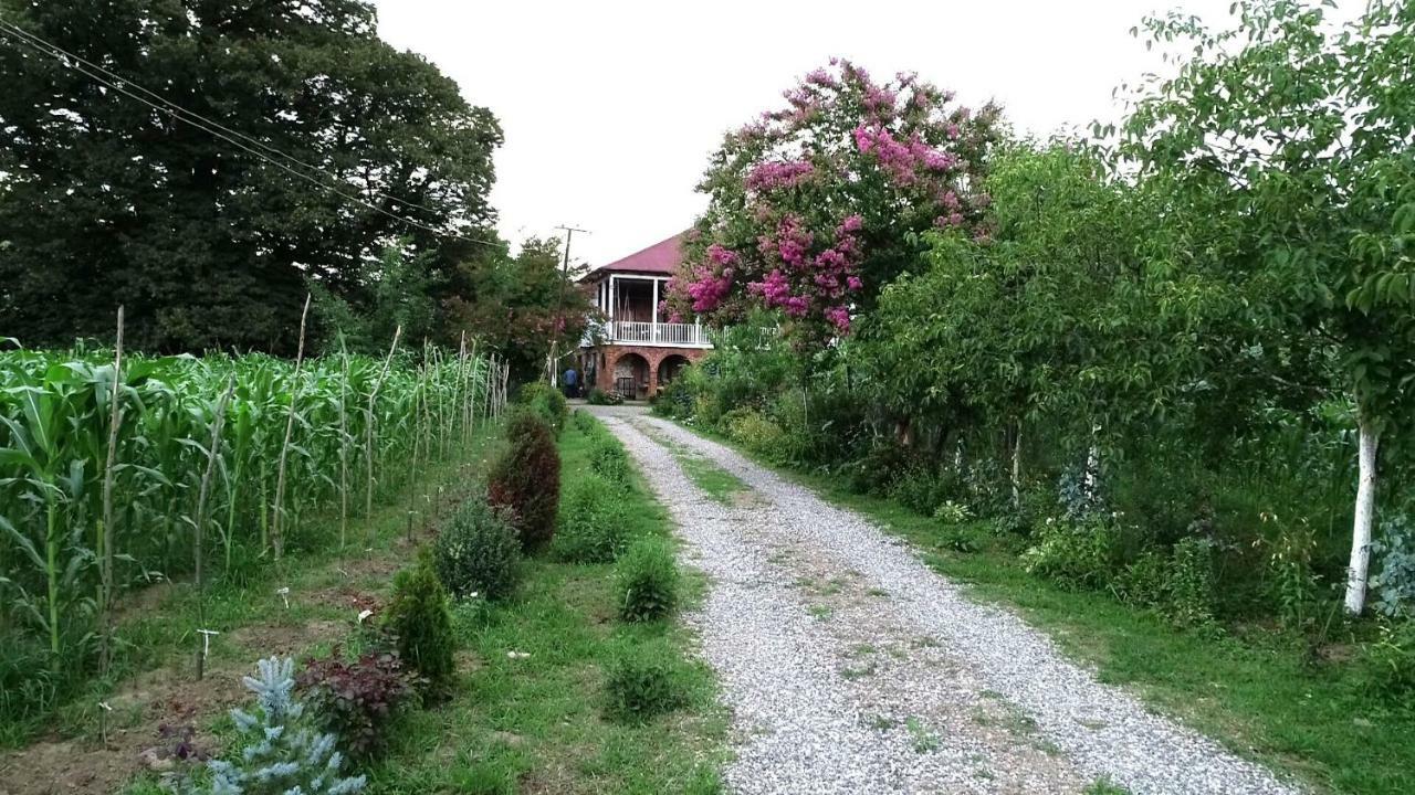 Guesthouse Kamelia Martvili Eksteriør bilde